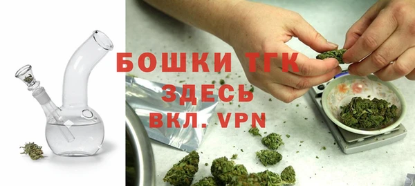 дживик Беломорск