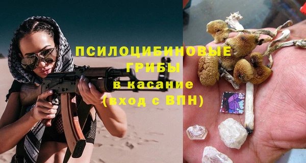 дживик Беломорск