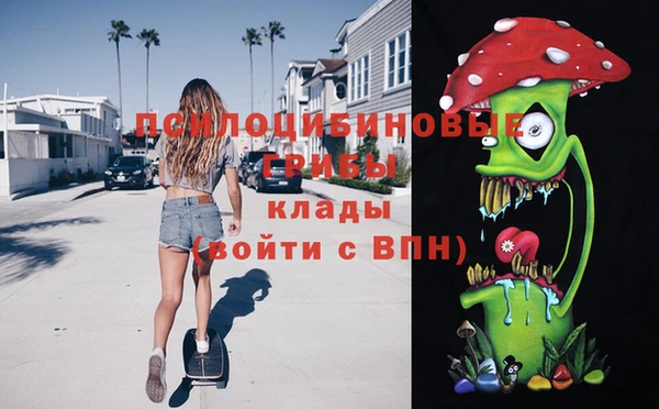 дживик Беломорск