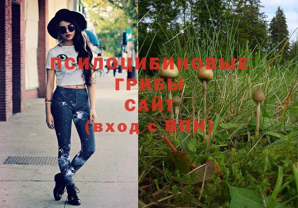 дживик Беломорск